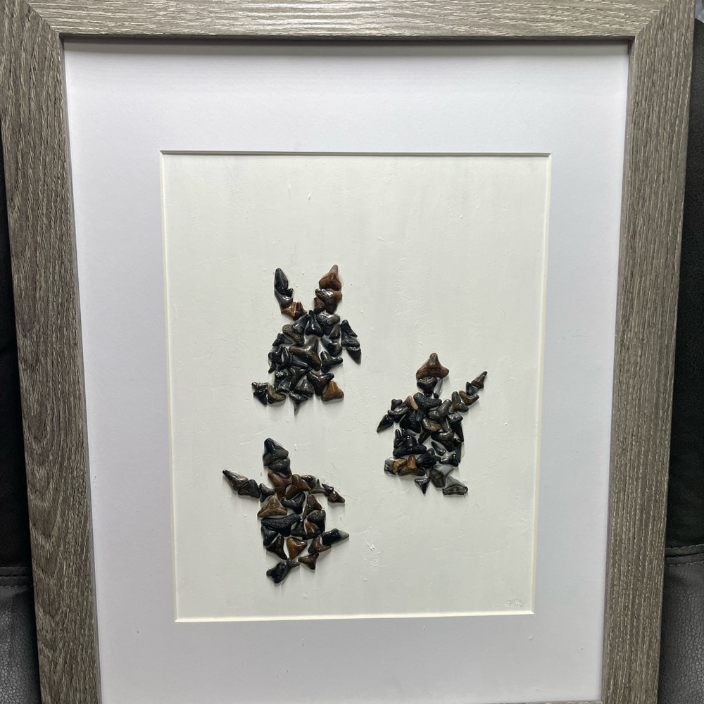 Framed sea turtles made out of shark teeth